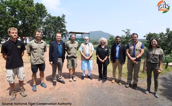 The Return of the Cheetah