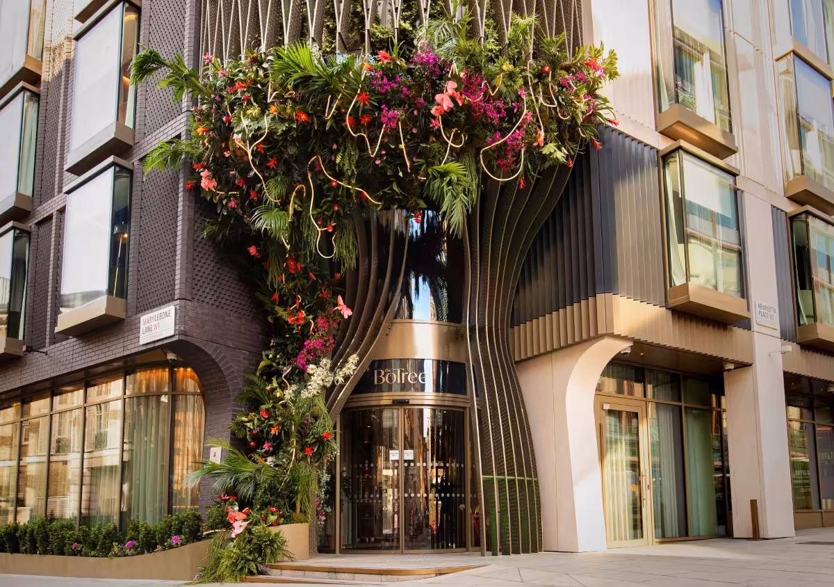 Curio Collection by Hilton The BoTree