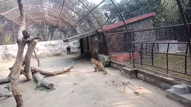 National Zoological Park re-opens