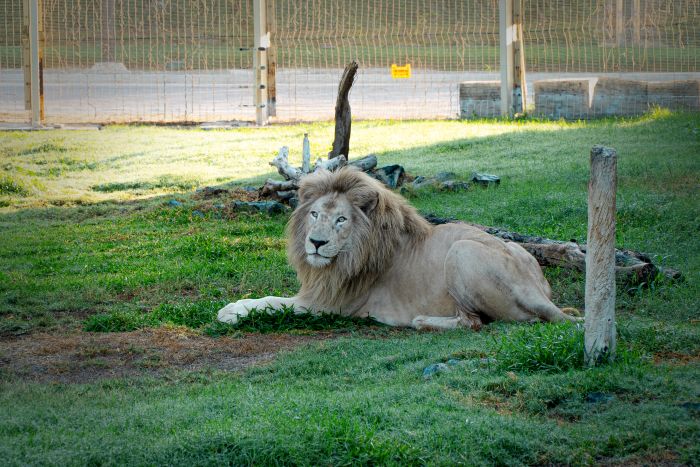 Dubai Safari Park