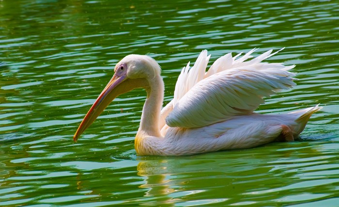 hidden gems of india tourism