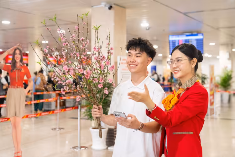 Vietjet offers transportations for cherry and apricot blossoms