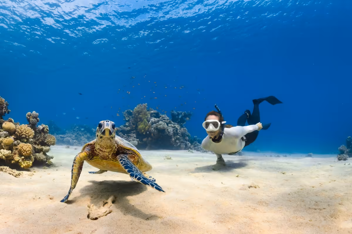 Asia’s Underwater Attractions