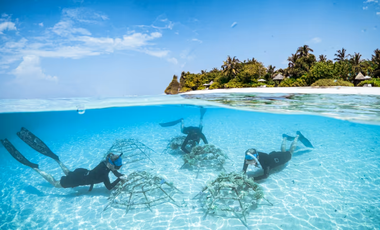 World Conservation Day at Four Seasons Resorts Maldives