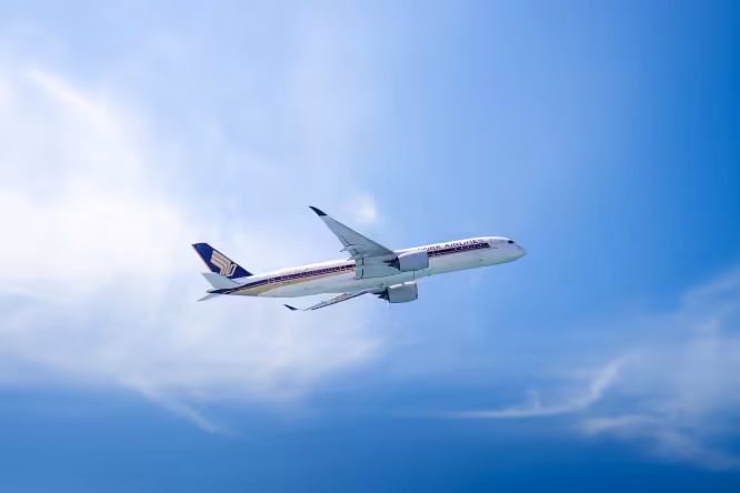 Travel Media
