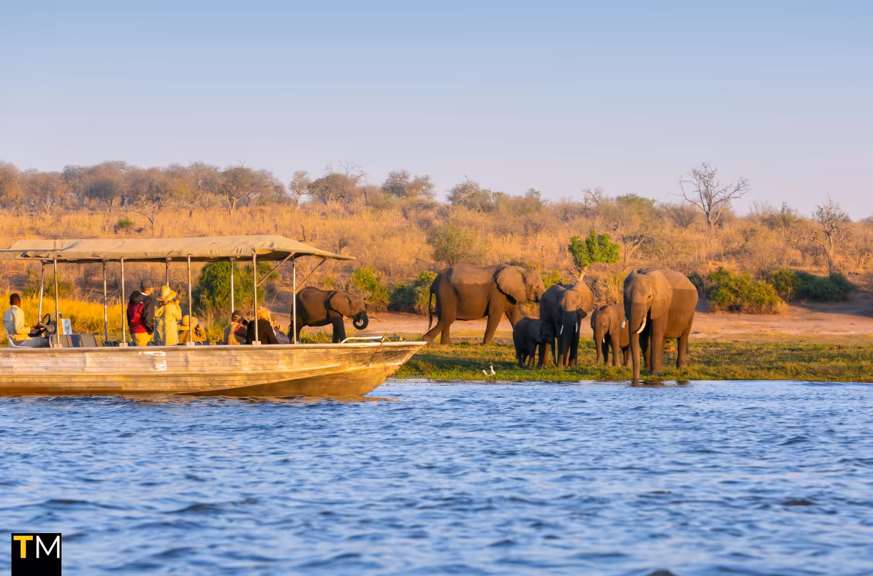 Atlas Ocean Voyages unveils seven pre-voyage land programs for Atlas Adventurer's 2029 Kenya and South Africa voyages