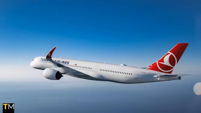 Travel Media