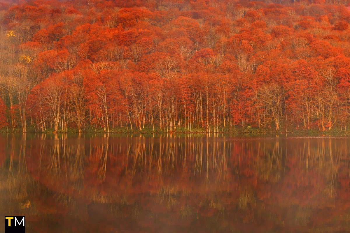 Chasing the Crunch: Agoda Spotlights Under-the-Radar Asian Destinations for Autumn Foliage Season