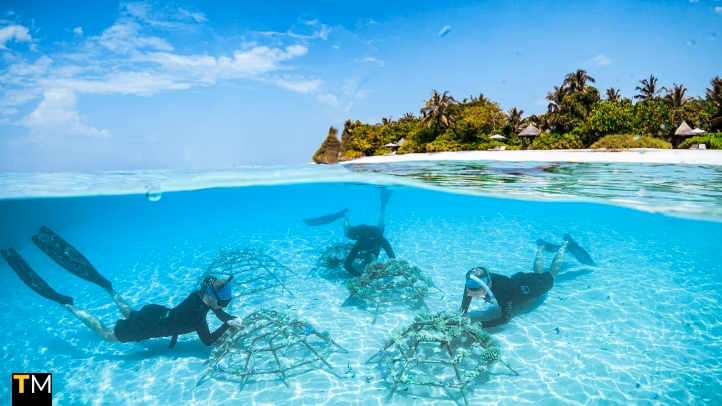 Four Seasons Resorts Maldives Honoured with HICAP Sustainable Hotel Award